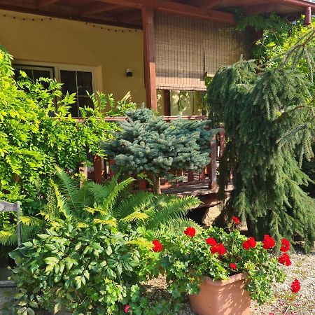 Apartament Malinowa Dolina โควอตสโก ภายนอก รูปภาพ