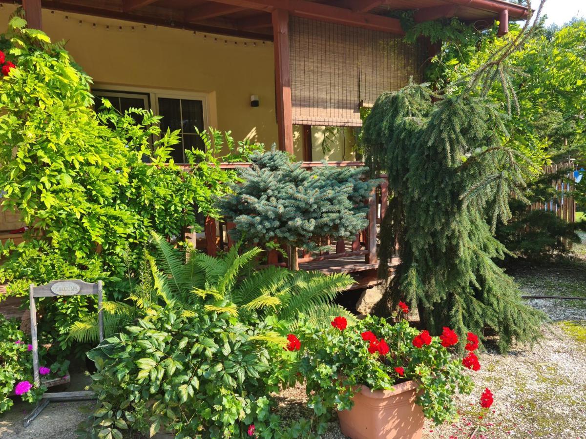 Apartament Malinowa Dolina โควอตสโก ภายนอก รูปภาพ