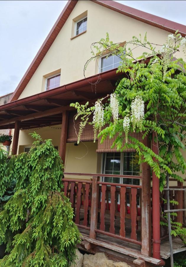 Apartament Malinowa Dolina โควอตสโก ภายนอก รูปภาพ
